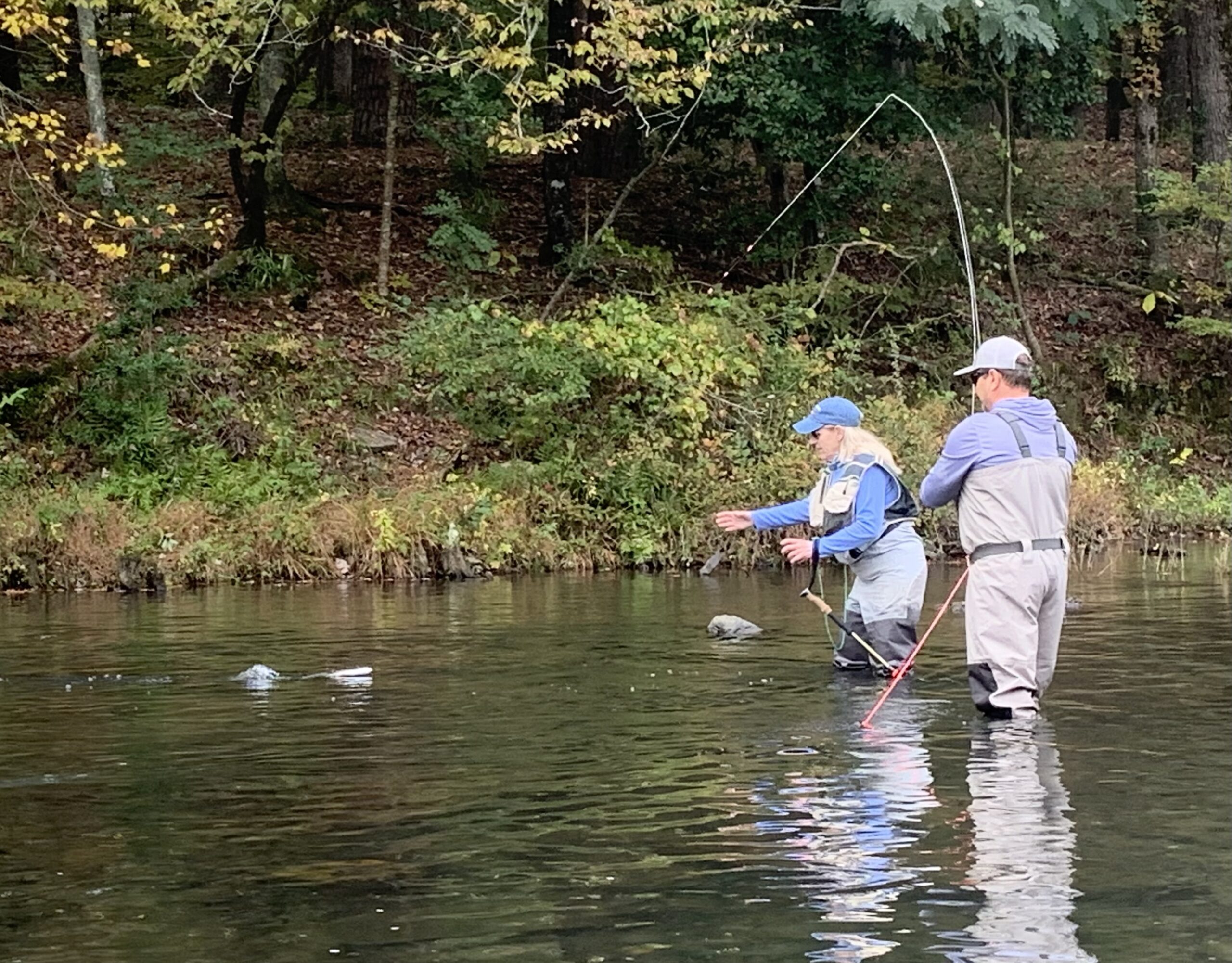 Photo Nov 06 2023, 8 40 52 AM