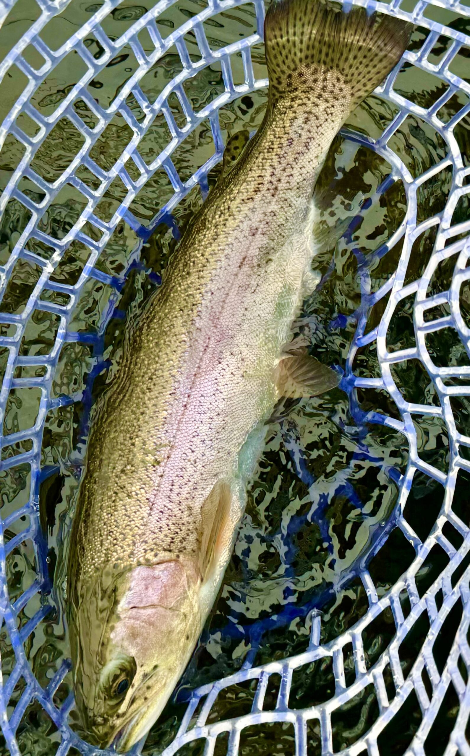 Photo Nov 16 2023, 1 00 46 PM